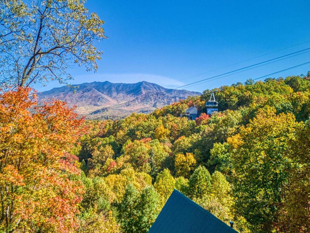 Four Bears Den, Hot Tub, 1089 Of Free Attraction Tickets For Each Paid Day, Dollywood And More Gatlinburg Exterior foto