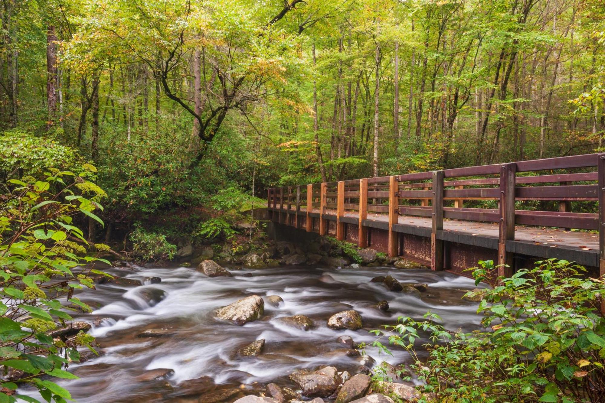 Four Bears Den, Hot Tub, 1089 Of Free Attraction Tickets For Each Paid Day, Dollywood And More Gatlinburg Exterior foto