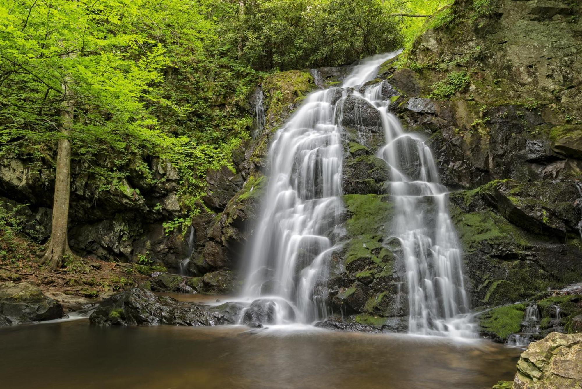 Four Bears Den, Hot Tub, 1089 Of Free Attraction Tickets For Each Paid Day, Dollywood And More Gatlinburg Exterior foto